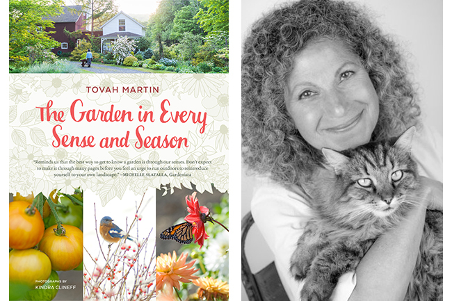Digging Deeper: The Garden in Every Sense and Season—A Bootcamp for the Senses